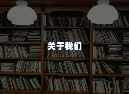 专业团队
